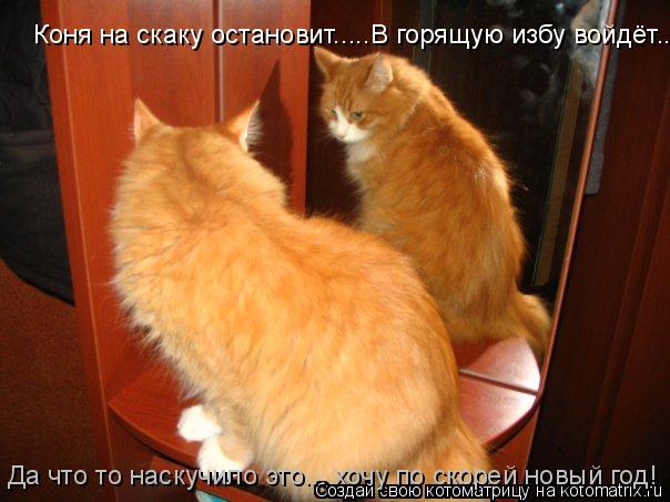 Коня на скаку остановит.....В горящую избу войдёт...Да что то наскучило это... хочу по скорей новый г... Котоматрица: Коня на скаку остановит.....В горящую избу войдёт...Да что то наскучило это... хочу по скорей новый год! Да что то наскучило это... хочу по скорей