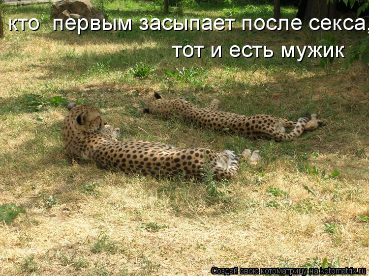 кто первым засыпает после секса, тот и есть мужик... Котоматрица: кто первым засыпает после секса, тот и есть мужик
