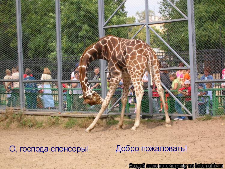 О, господа спонсоры! Добро пожаловать!... Котоматрица: О, господа спонсоры! Добро пожаловать!