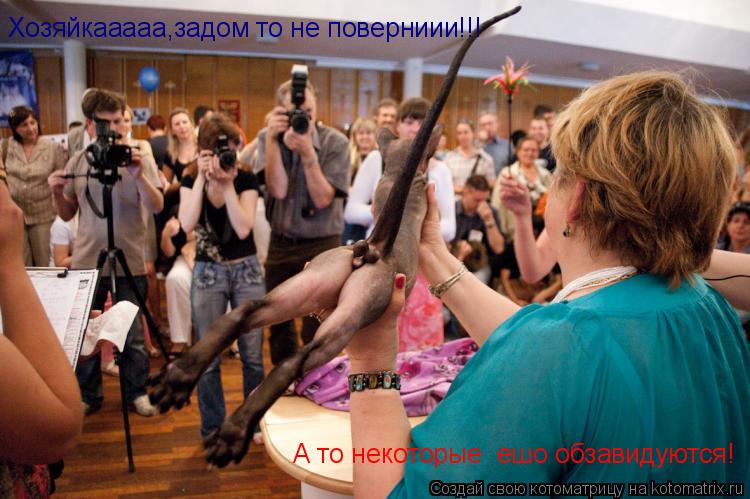 Хозяйкааааа,задом то не поверниии!!! А то некоторые ешо обзавидуются!... Котоматрица: Хозяйкааааа,задом то не поверниии!!! А то некоторые ешо обзавидуются!