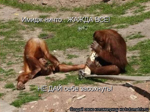 Имидж ничто.. ЖАЖДА ВСЕ! НЕ ДАЙ себе засохнуть!... Котоматрица: Имидж ничто.. ЖАЖДА ВСЕ! НЕ ДАЙ себе засохнуть!