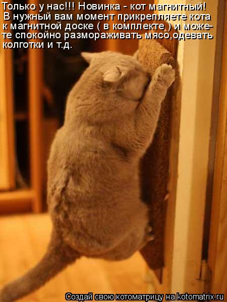 Только у нас!!! Новинка - кот магнитный! В нужный вам момент прикрепляете кота к магнитной доске ( в ... Котоматрица: Только у нас!!! Новинка - кот магнитный! В нужный вам момент прикрепляете кота к магнитной доске ( в комплекте ) и може- колготки и т.д. те споко