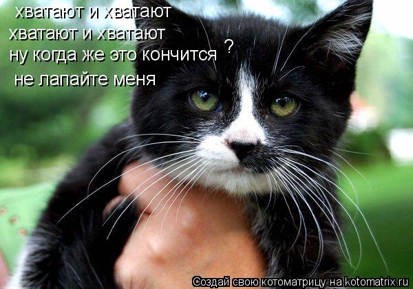 хватают и хватают хватают и хватают ну когда же это кончится ? не лапайте меня... Котоматрица: хватают и хватают хватают и хватают ну когда же это кончится ? не лапайте меня