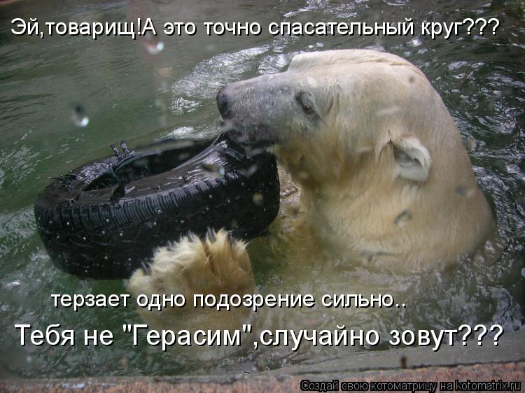Эй,товарищ!А это точно спасательный круг??? терзает одно подозрение сильно.. Тебя не "Герасим",случай... Котоматрица: Эй,товарищ!А это точно спасательный круг??? терзает одно подозрение сильно.. Тебя не "Герасим",случайно зовут???