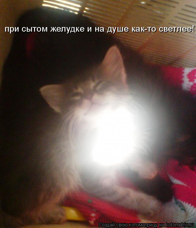 при сытом желудке и на душе как-то светлее!... Котоматрица: при сытом желудке и на душе как-то светлее!