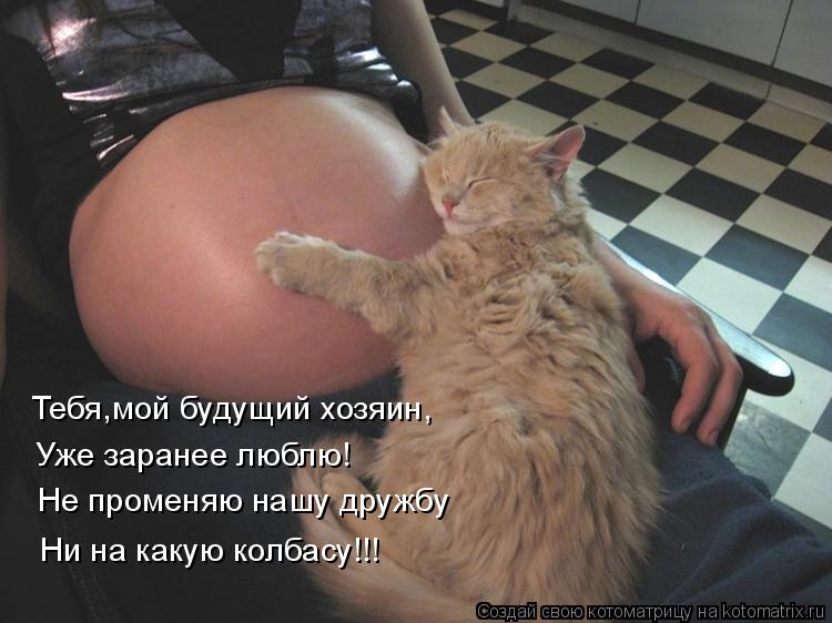 Тебя,мой будущий хозяин, Уже заранее люблю! Не променяю нашу дружбу Ни на какую колбасу!!!... Котоматрица: Тебя,мой будущий хозяин, Уже заранее люблю! Не променяю нашу дружбу Ни на какую колбасу!!!