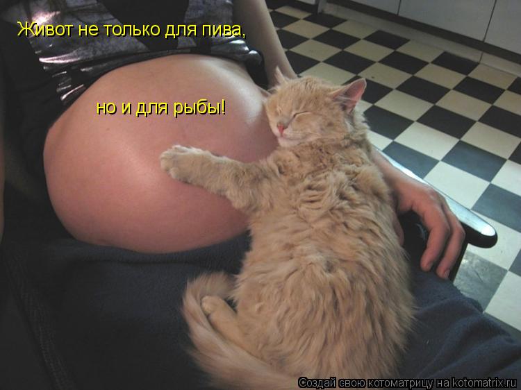 Живот не только для пива, но и для рыбы!... Котоматрица: Живот не только для пива, но и для рыбы!