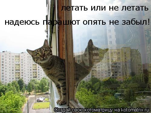 летать или не летать надеюсь парашют опять не забыл!... Котоматрица: летать или не летать надеюсь парашют опять не забыл!