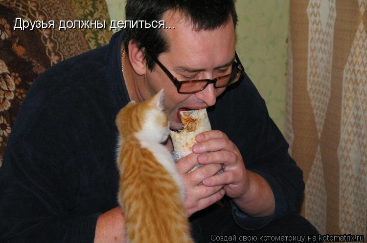 Друзья должны делиться...... Котоматрица: Друзья должны делиться...