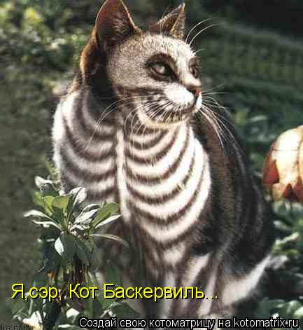 Я,сэр, Кот Баскервиль...... Котоматрица: Я,сэр, Кот Баскервиль...