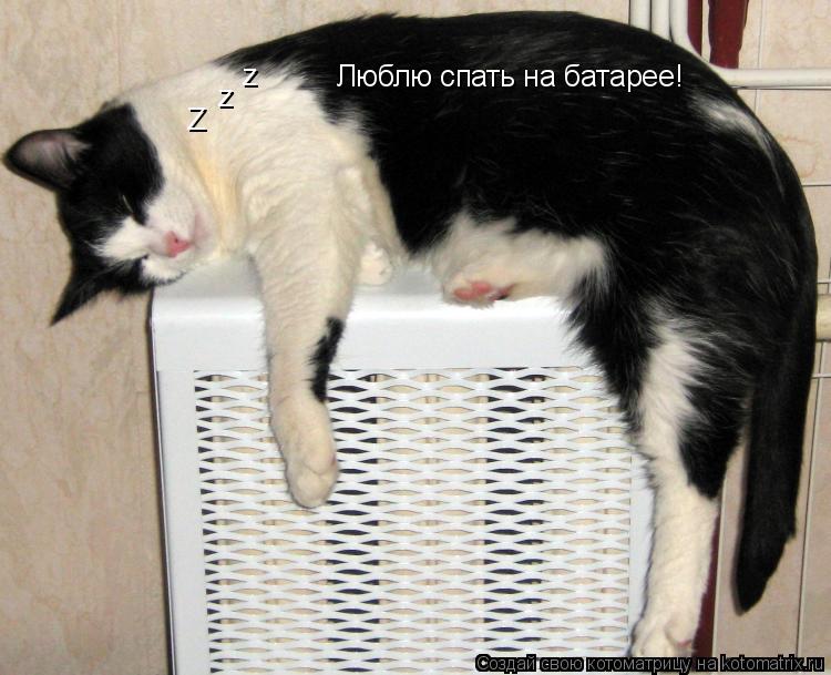 Z z z Люблю спать на батарее!... Котоматрица: Z z z Люблю спать на батарее!