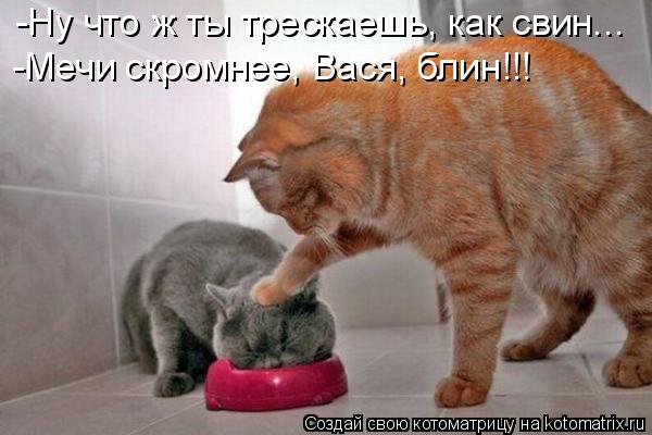 -Ну что ж ты трескаешь, как свин... -Мечи скромнее, Вася, блин!!!... Котоматрица: -Ну что ж ты трескаешь, как свин... -Мечи скромнее, Вася, блин!!!