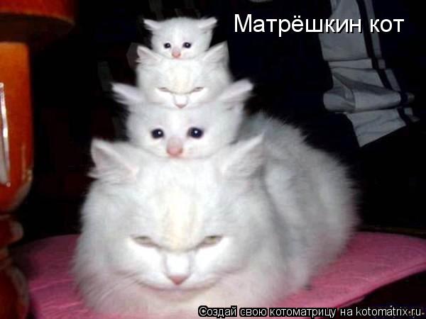 Матрёшкин кот... Котоматрица: Матрёшкин кот