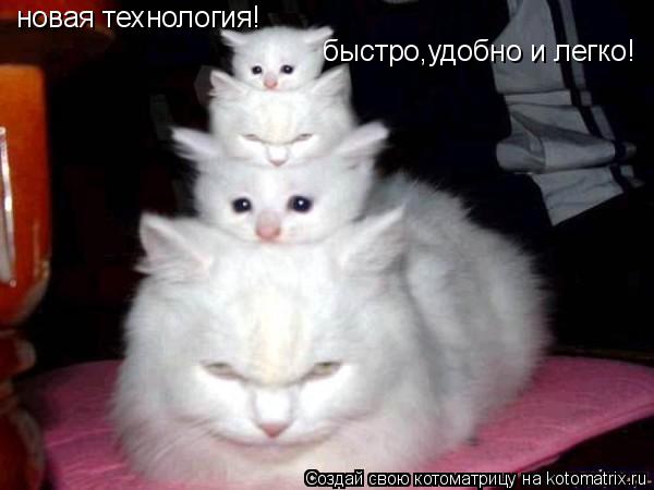 новая технология! быстро,удобно и легко!... Котоматрица: новая технология! быстро,удобно и легко!