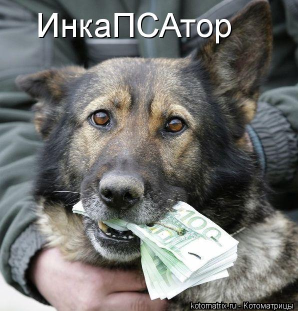 ИнкаПСАтор... Котоматрица: ИнкаПСАтор