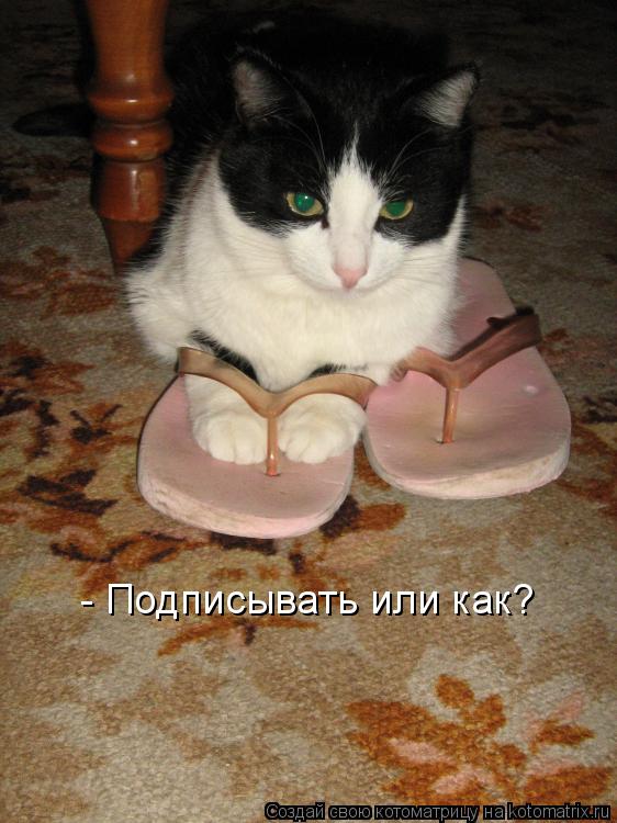 - Подписывать или как?... Котоматрица: - Подписывать или как?