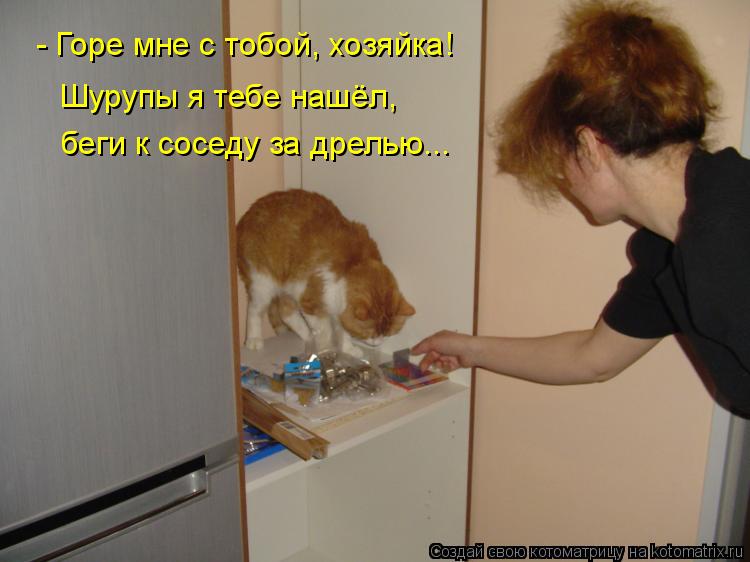 - Горе мне с тобой, хозяйка! беги к соседу за дрелью... Шурупы я тебе нашёл,... Котоматрица: - Горе мне с тобой, хозяйка! беги к соседу за дрелью... Шурупы я тебе нашёл,