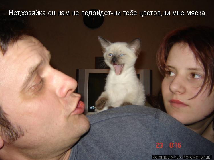 Нет,хозяйка,он нам не подойдет-ни тебе цветов,ни мне мяска.... Котоматрица: Нет,хозяйка,он нам не подойдет-ни тебе цветов,ни мне мяска.