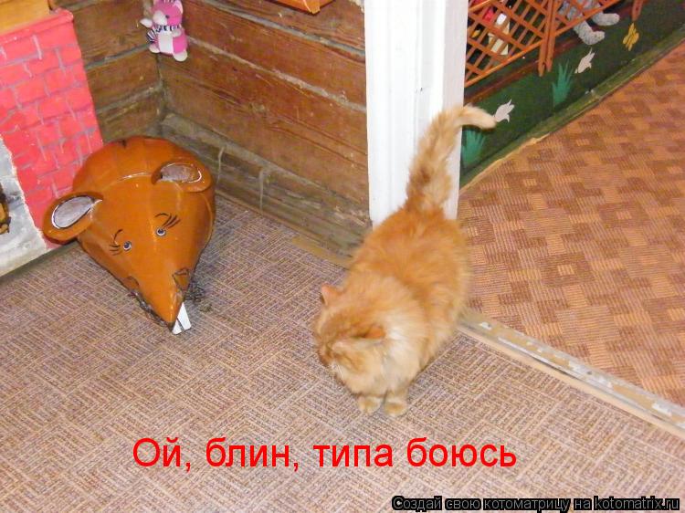 Ой, блин, типа боюсь... Котоматрица: Ой, блин, типа боюсь