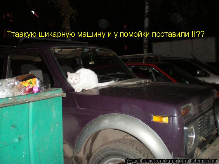 Ттаакую шикарную машину и у помойки поставили !!??... Котоматрица: Ттаакую шикарную машину и у помойки поставили !!??