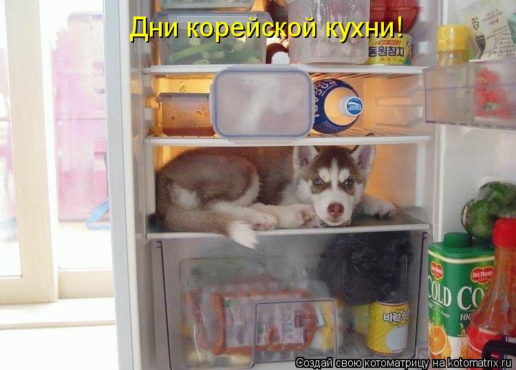 Дни корейской кухни!... Котоматрица: Дни корейской кухни!
