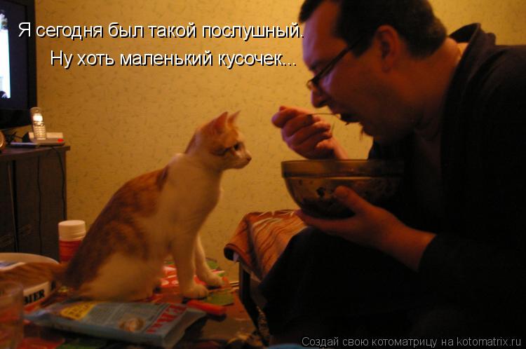 Я сегодня был такой послушный. Ну хоть маленький кусочек...... Котоматрица: Я сегодня был такой послушный. Ну хоть маленький кусочек...