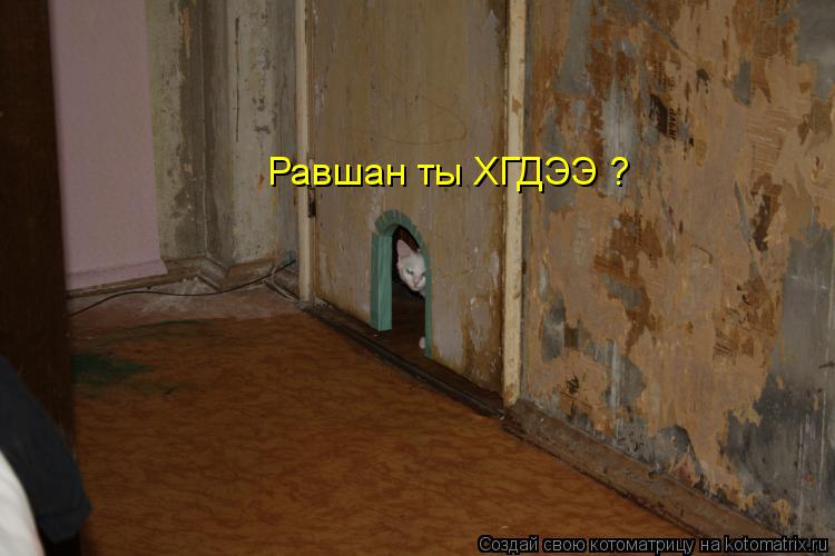 Равшан ты ХГДЭЭ ?... Котоматрица: Равшан ты ХГДЭЭ ?