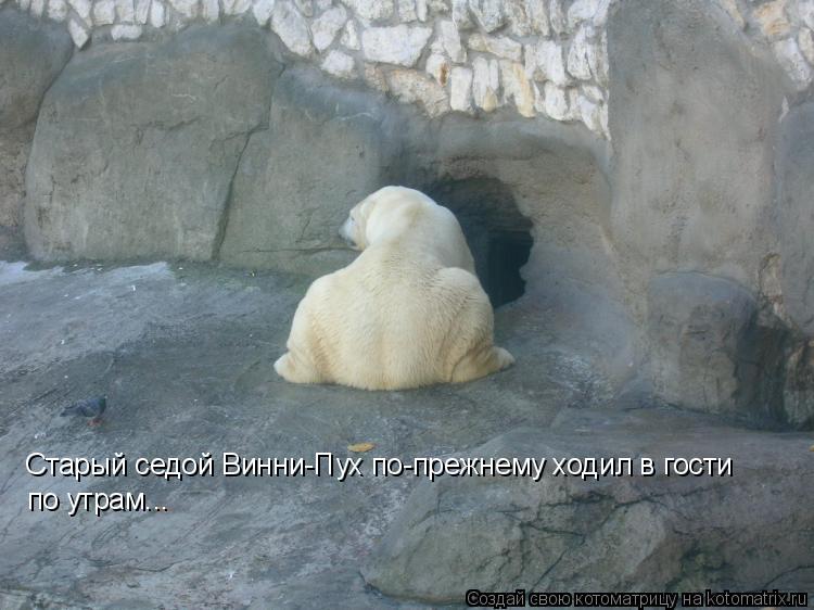 Старый седой Винни-Пух по-прежнему ходил в гости по утрам...... Котоматрица: Старый седой Винни-Пух по-прежнему ходил в гости по утрам...