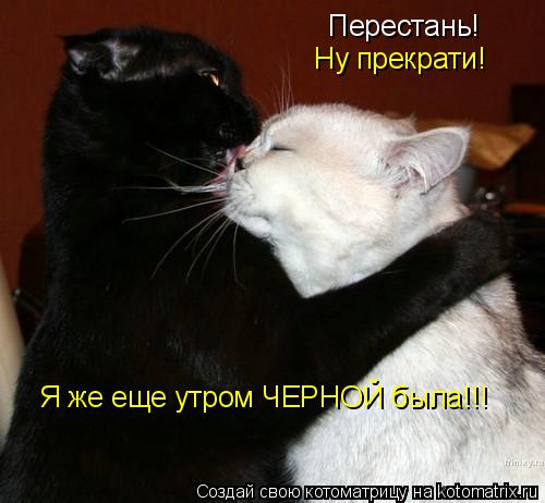 Перестань! Я же еще утром ЧЕРНОЙ была!!! Ну прекрати!... Котоматрица: Перестань! Я же еще утром ЧЕРНОЙ была!!! Ну прекрати!