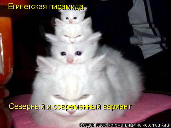 Египетская пирамида Северный и современный вариант... Котоматрица: Египетская пирамида Северный и современный вариант