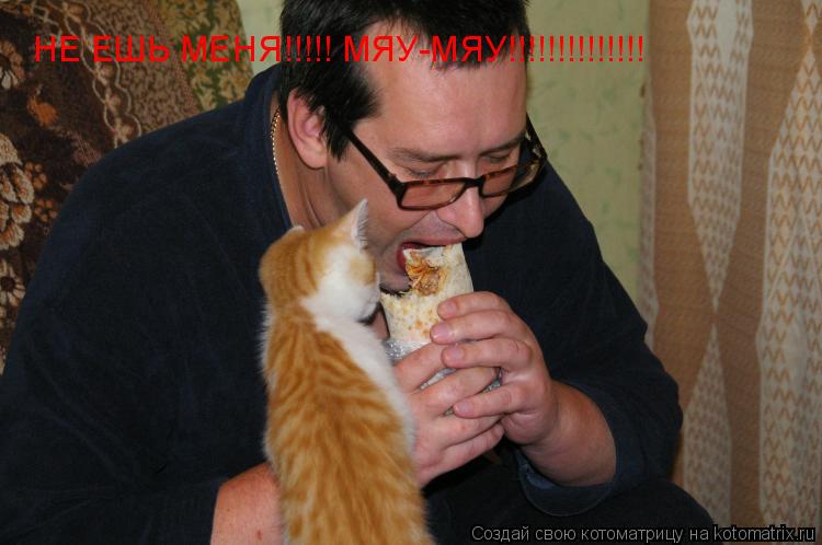 НЕ ЕШЬ МЕНЯ!!!!! МЯУ-МЯУ!!!!!!!!!!!!!!... Котоматрица: НЕ ЕШЬ МЕНЯ!!!!! МЯУ-МЯУ!!!!!!!!!!!!!!