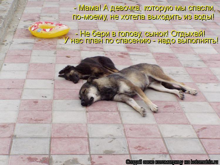 Котоматрица: - Мама! А девочка, которую мы спасли, по-моему, не хотела выходить из воды! - Не бери в голову, сынок! Отдыхай! У нас план по спасению - надо выпол