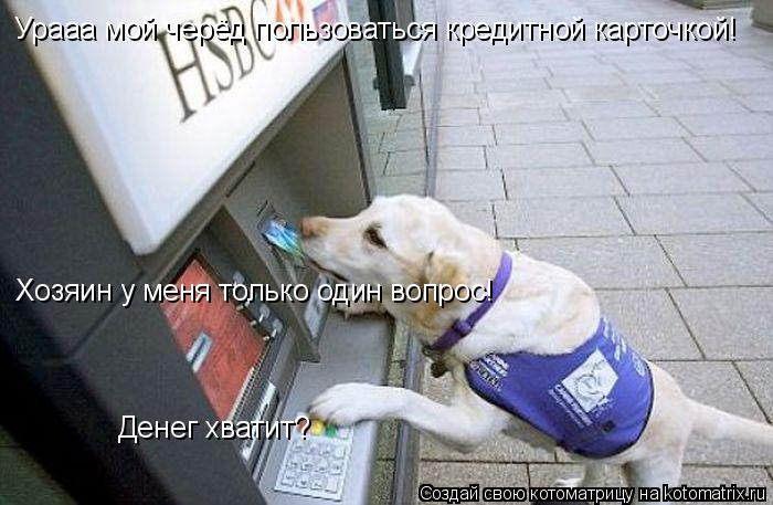 Урааа мой черёд пользоваться кредитной карточкой! Хозяин у меня только один вопрос! Денег хватит?... Котоматрица: Урааа мой черёд пользоваться кредитной карточкой! Хозяин у меня только один вопрос! Денег хватит?