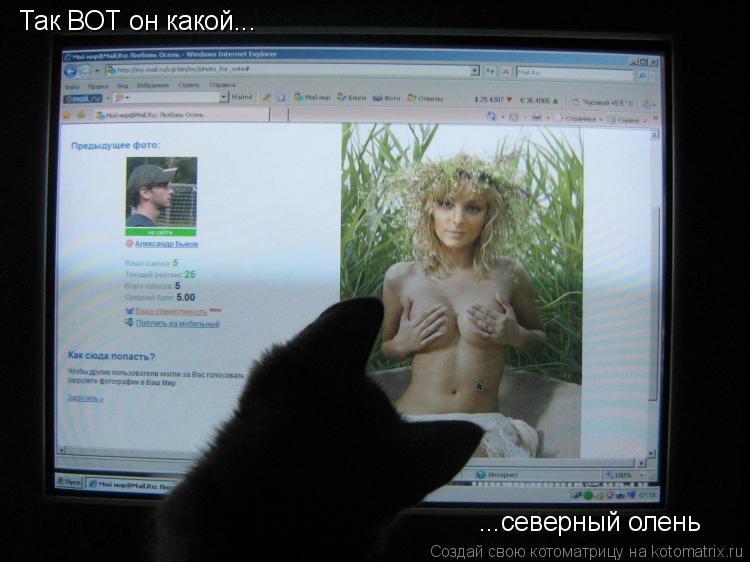 Так ВОТ он какой... ...северный олень... Котоматрица: Так ВОТ он какой... ...северный олень