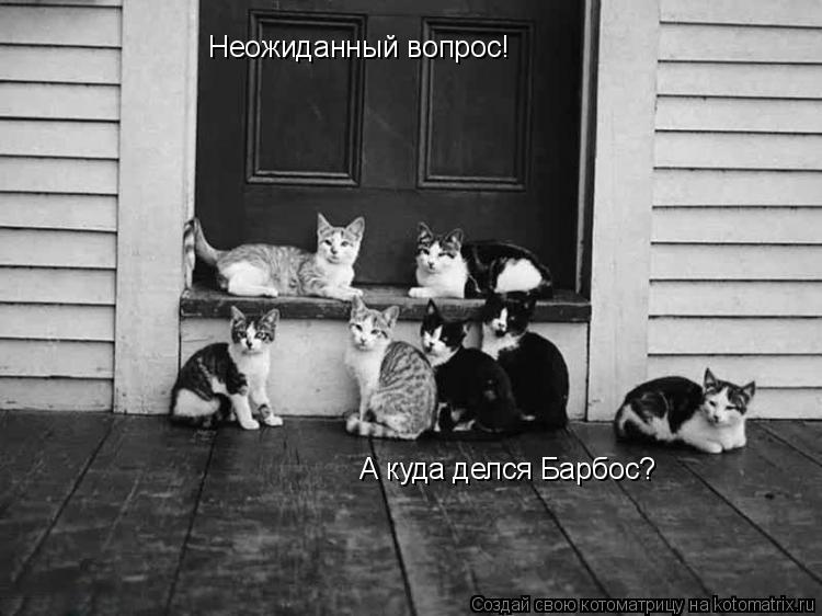 Неожиданный вопрос! А куда делся Барбос?... Котоматрица: Неожиданный вопрос! А куда делся Барбос?