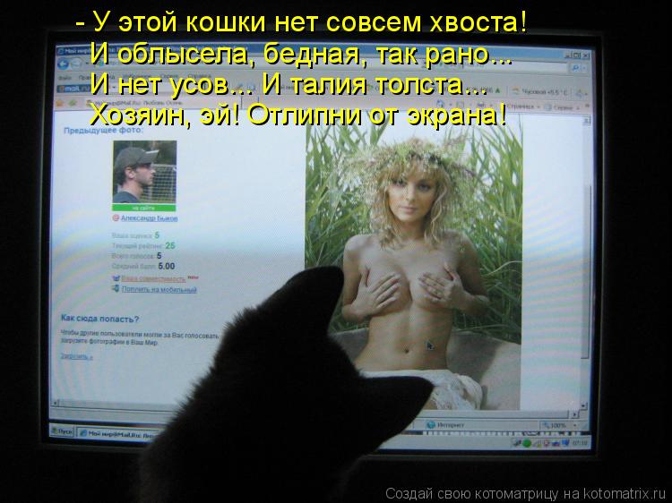 - У этой кошки нет совсем хвоста! И облысела, бедная, так рано... И нет усов... И талия толста... Хоз... Котоматрица: - У этой кошки нет совсем хвоста! И облысела, бедная, так рано... И нет усов... И талия толста... Хозяин, эй! Отлипни от экрана!