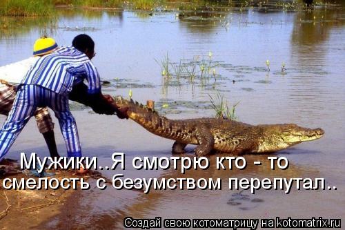 Мужики..Я смотрю кто - то смелость с безумством перепутал..... Котоматрица: Мужики..Я смотрю кто - то смелость с безумством перепутал..