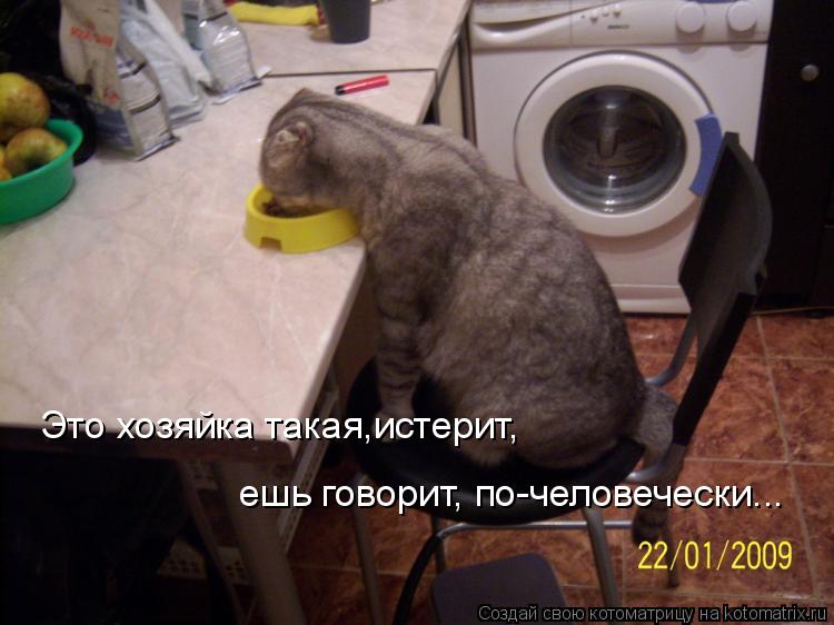 Котоматрица: Это хозяйка такая,истерит,  ешь говорит, по-человечески...