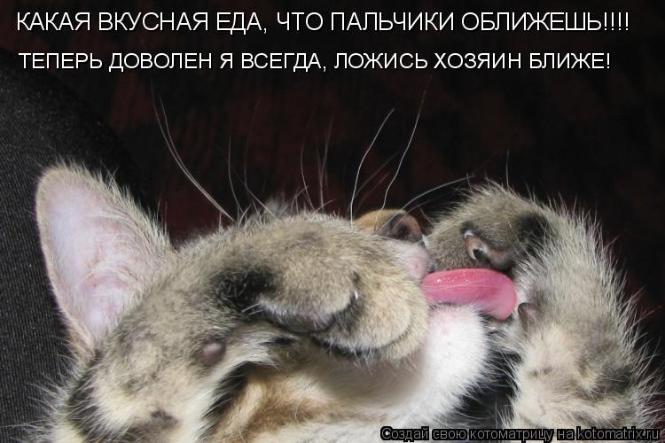 Котоматрица: КАКАЯ ВКУСНАЯ ЕДА, ЧТО ПАЛЬЧИКИ ОБЛИЖЕШЬ!!!! ТЕПЕРЬ ДОВОЛЕН Я ВСЕГДА, ЛОЖИСЬ ХОЗЯИН БЛИЖЕ!