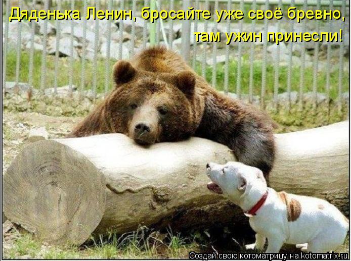 Котоматрица: Дяденька Ленин, бросайте уже своё бревно,  там ужин принесли!