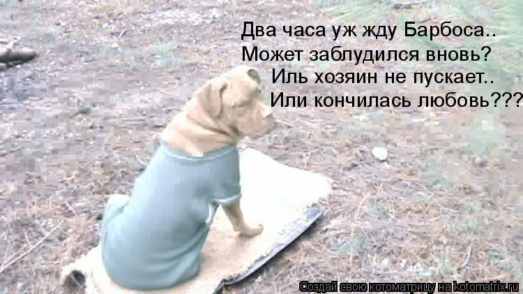 Котоматрица: Два часа уж жду Барбоса.. Может заблудился вновь? Иль хозяин не пускает.. Или кончилась любовь???