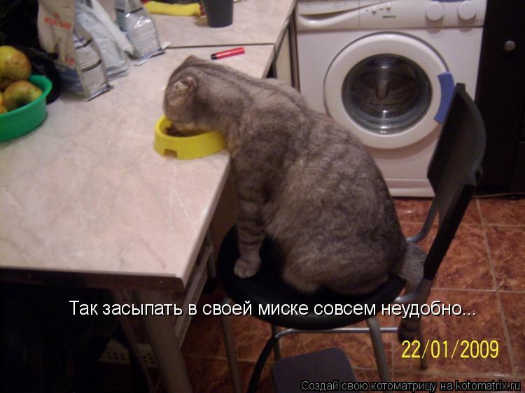 Котоматрица: Так засыпать в своей миске совсем неудобно...