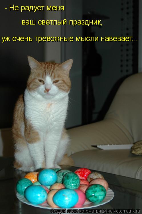 - Не радует меня уж очень тревожные мысли навевает... ваш светлый праздник,... Котоматрица: - Не радует меня уж очень тревожные мысли навевает... ваш светлый праздник,