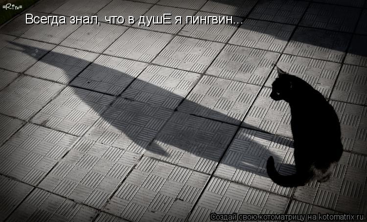Всегда знал, что в душЕ я пингвин...... Котоматрица: Всегда знал, что в душЕ я пингвин...