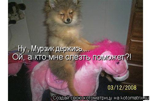Ну , Мурзик держись.... Ой, а кто мне слезть поможет?!... Котоматрица: Ну , Мурзик держись.... Ой, а кто мне слезть поможет?!