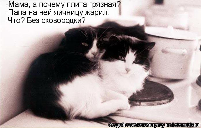 -Мама, а почему плита грязная? -Папа на ней яичницу жарил. -Что? Без сковородки?... Котоматрица: -Мама, а почему плита грязная? -Папа на ней яичницу жарил. -Что? Без сковородки?