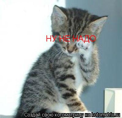 НУ НЕ НАДО... Котоматрица: НУ НЕ НАДО