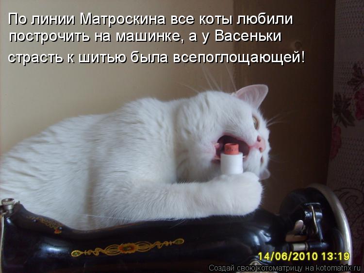 По линии Матроскина все коты любили построчить на машинке, а у Васеньки страсть к шитью была всепогл... Котоматрица: По линии Матроскина все коты любили построчить на машинке, а у Васеньки страсть к шитью была всепоглощающей!