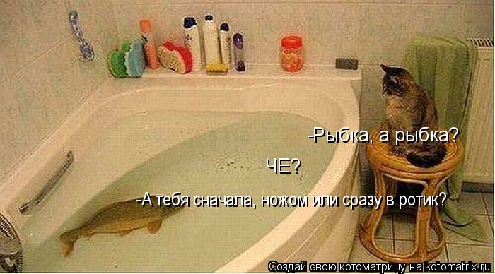 -Рыбка, а рыбка? -Рыбка, а рыбка? ЧЕ? -А тебя сначала, ножом или сразу в ротик?... Котоматрица: -Рыбка, а рыбка? -Рыбка, а рыбка? ЧЕ? -А тебя сначала, ножом или сразу в ротик?