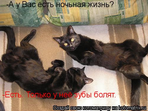 -А у Вас есть ночьная жизнь? -Есть. Только у неё зубы болят.... Котоматрица: -А у Вас есть ночьная жизнь? -Есть. Только у неё зубы болят.